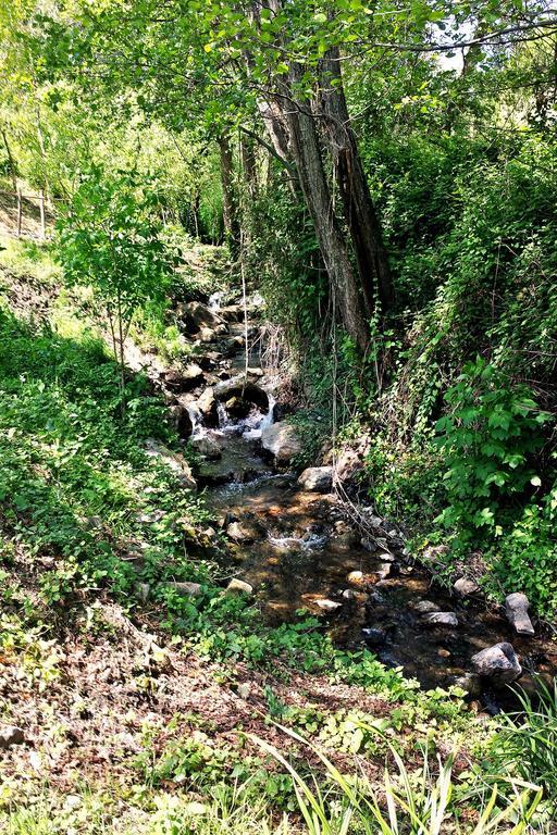 Verdeblu Country Hotel San Giovanni a Piro Εξωτερικό φωτογραφία