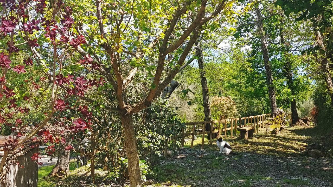 Verdeblu Country Hotel San Giovanni a Piro Εξωτερικό φωτογραφία